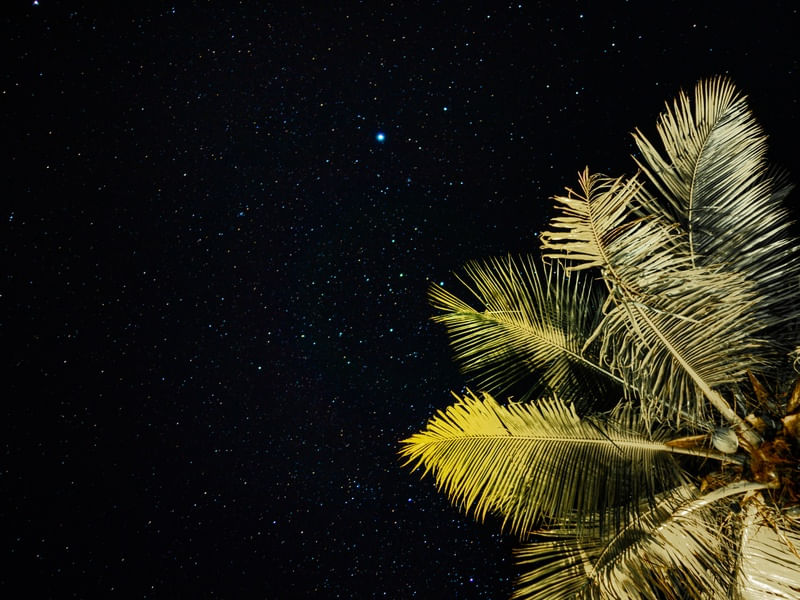 CÉU DE PAÚBA
