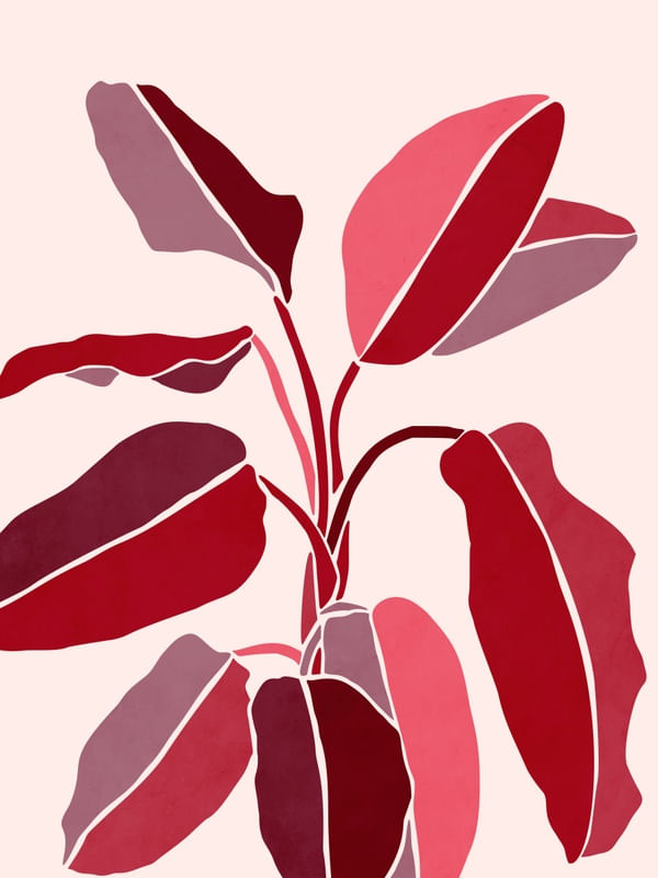 VIVA MAGENTA ART 3