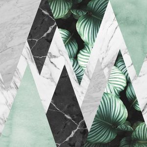 GEOMETRIA TROPICAL 10
