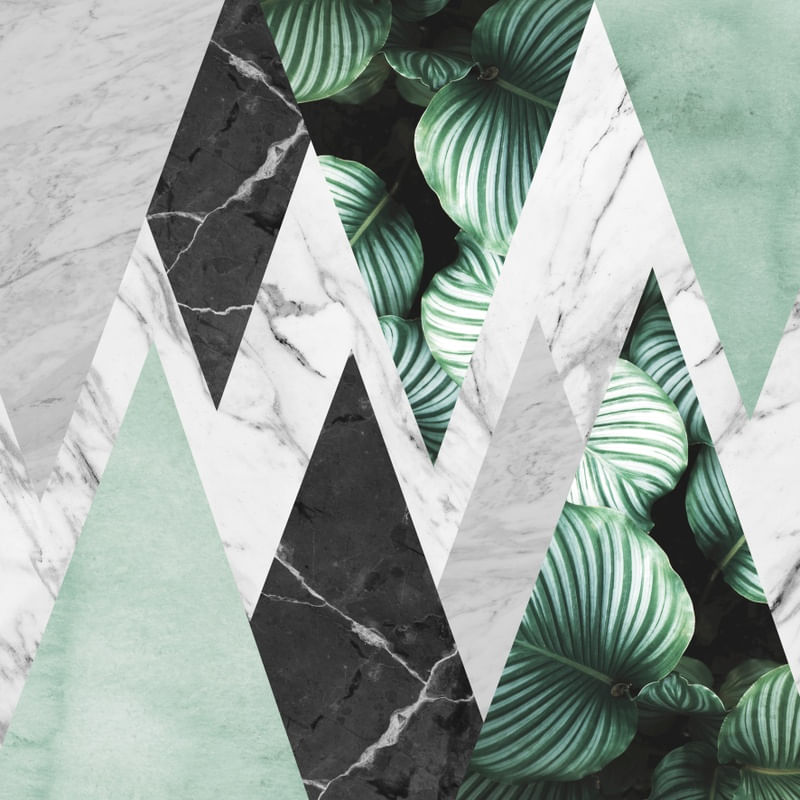 GEOMETRIA TROPICAL 10