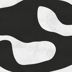 EXPRESSIONISMO PRETO E BRANCO XVI