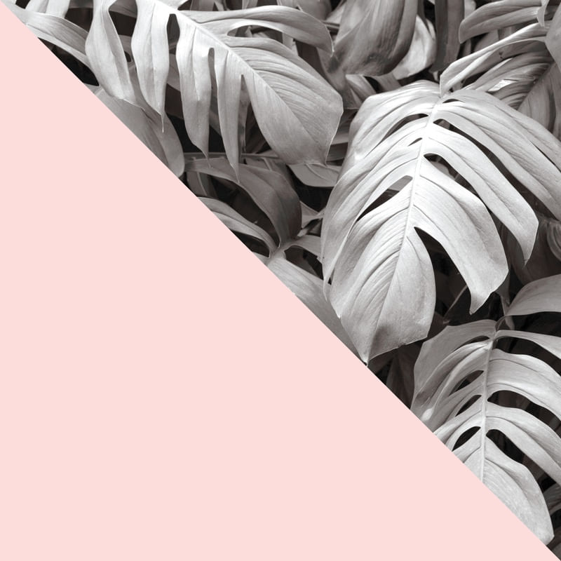 FLORAL E ROSA 03