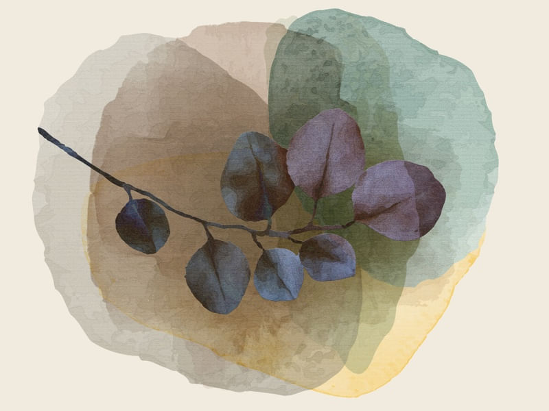TRANSPARENT ABSTRACT 10