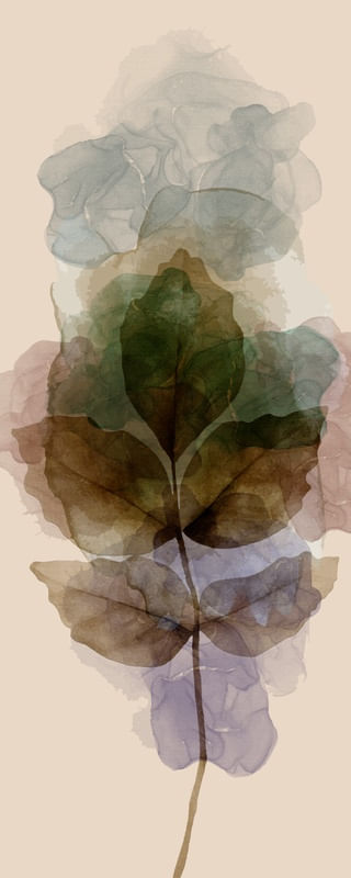 TRANSPARENT ABSTRACT 13