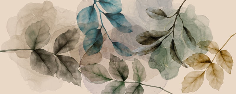 TRANSPARENT ABSTRACT 14