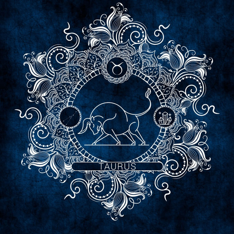 ZODIAC - ICE - TOURO