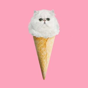 GELO DE KITTY 1