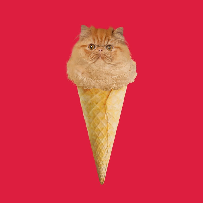 GELO DE KITTY 2