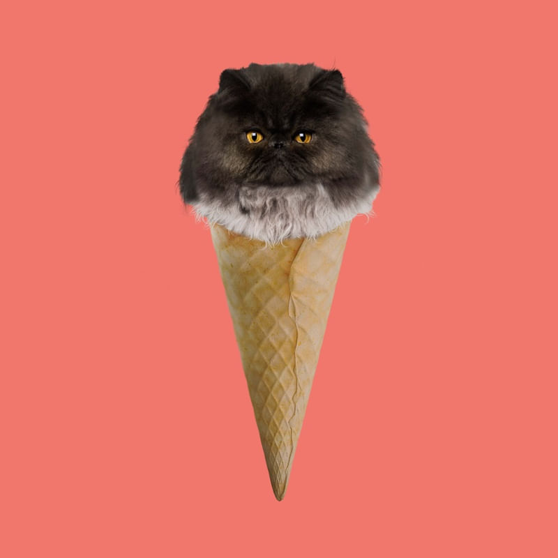GELO DE KITTY 3