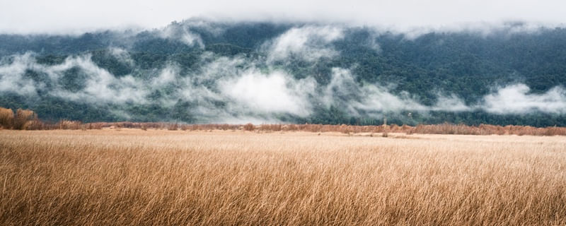 CAMPOS DOURADOS EM MEIO A LAGUNAS