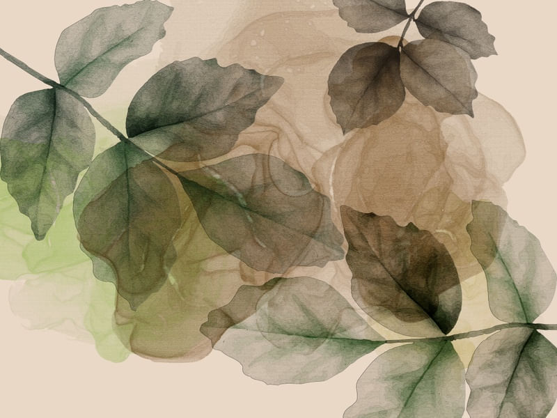 TRANSPARENT ABSTRACT 11