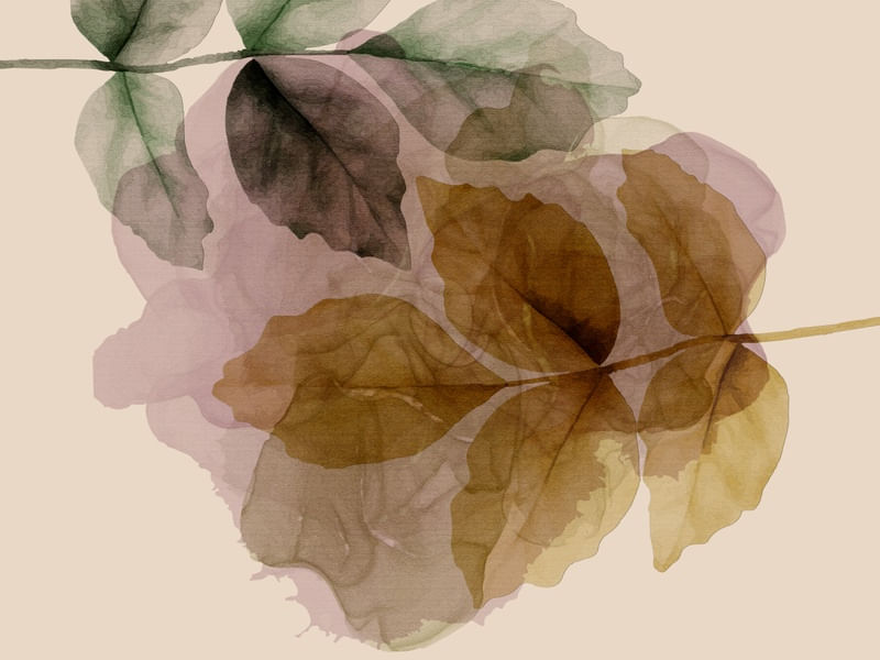 TRANSPARENT ABSTRACT 12