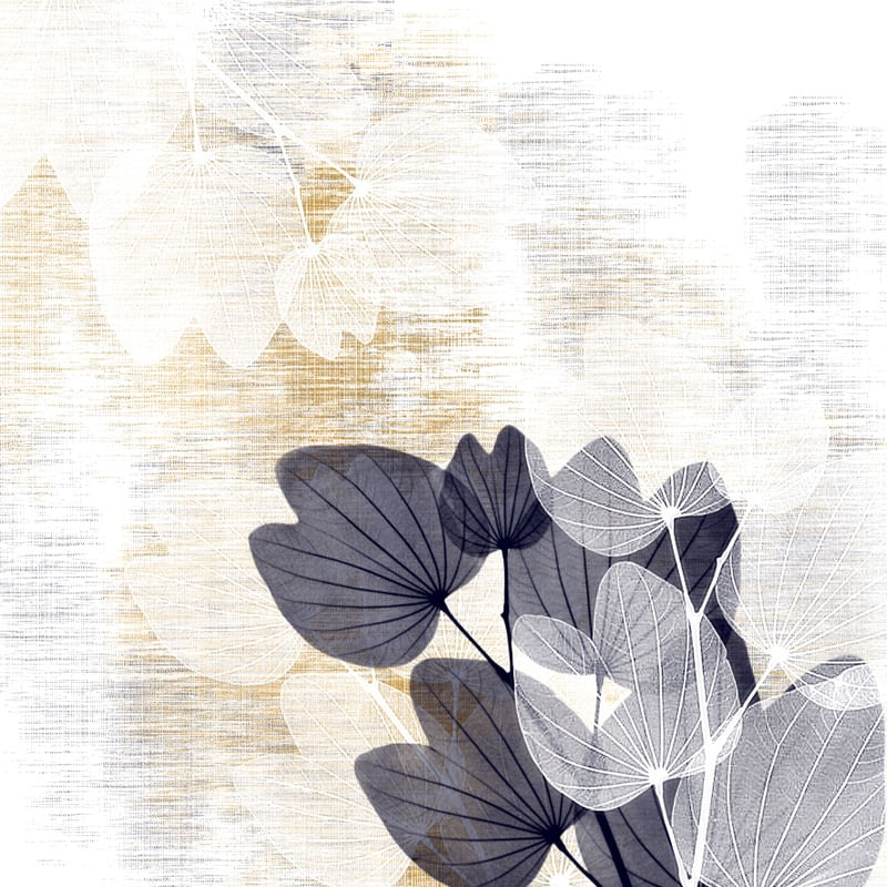 BOTANICO CL 01