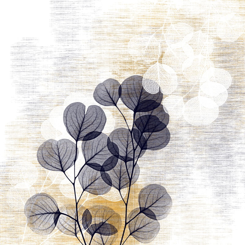 BOTANICO CL 02