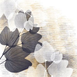BOTANICO CL 03