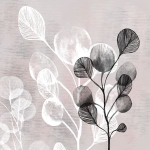 BOTANICO RM 02