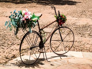 BICICLETA-4