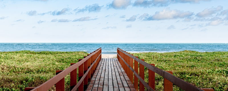 PORTAL DO PARAISO