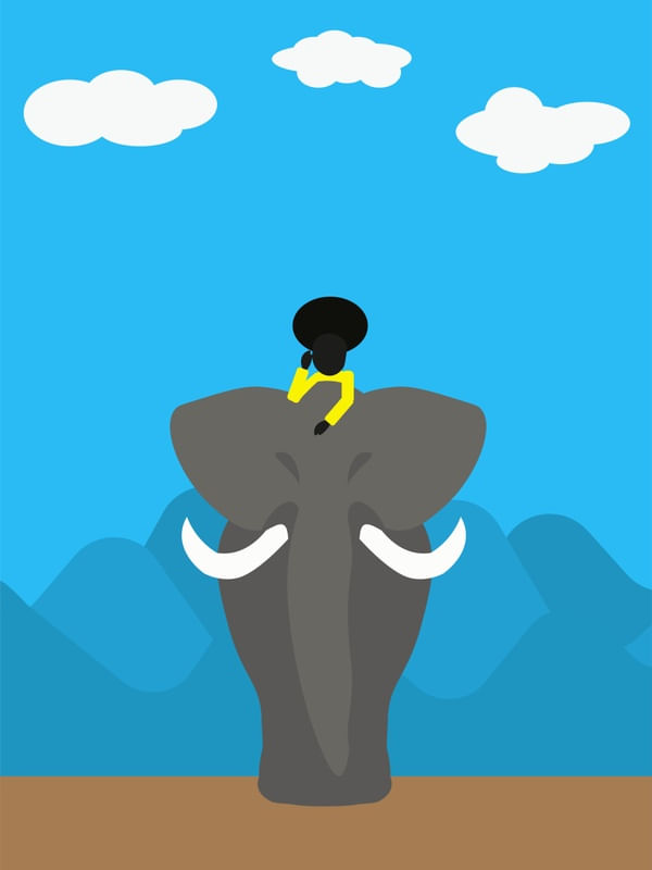 AMO A AFRICA