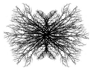 ÁRVORE FRACTAL