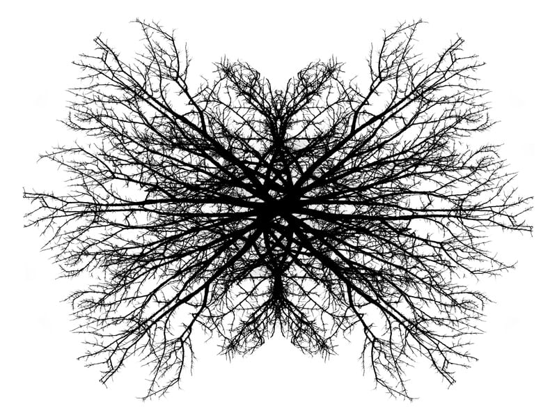 ÁRVORE FRACTAL