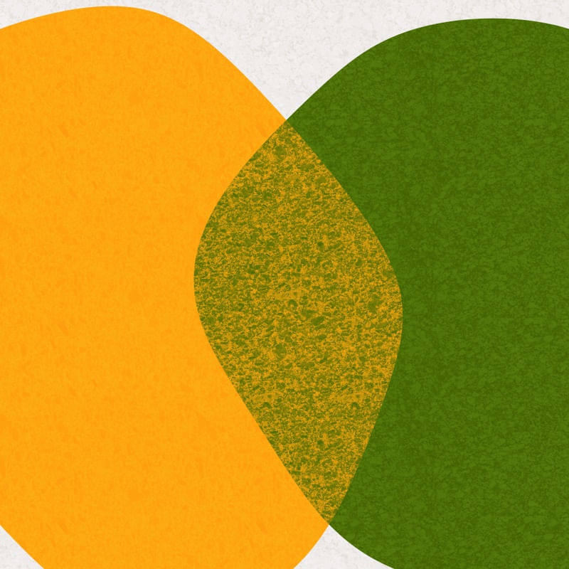 ARTE CONTORNOS MINIMALISTAS SÉRIE CORES TONS AMARELO VERDE OP 34