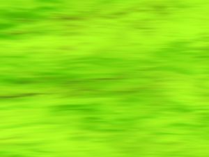 TEXTURA EM MOVIMENTO ABSTRATO TONS DE VERDE OP 16