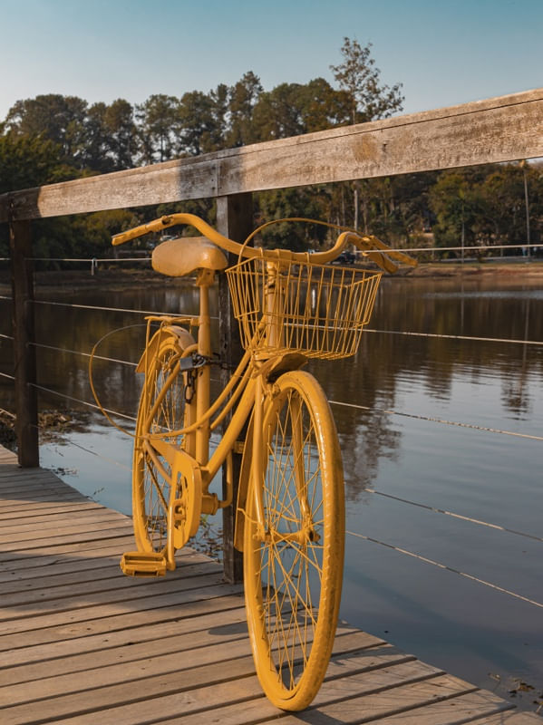 BICICLETA AMARELA EM HOLAMBRA