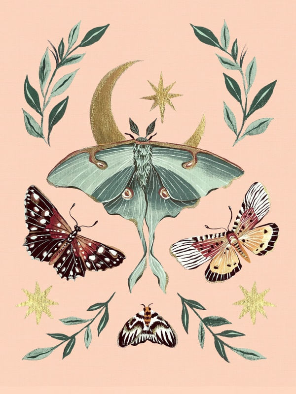 LUNA MOTH