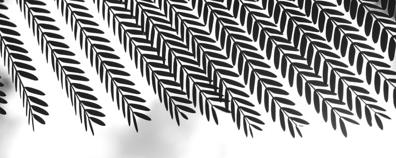 FOLHAS PARALELAS