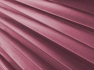PINK FAN