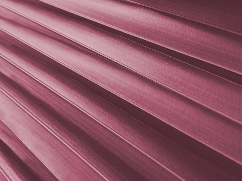PINK FAN