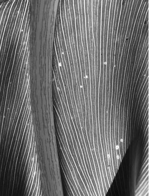 SINUOUS