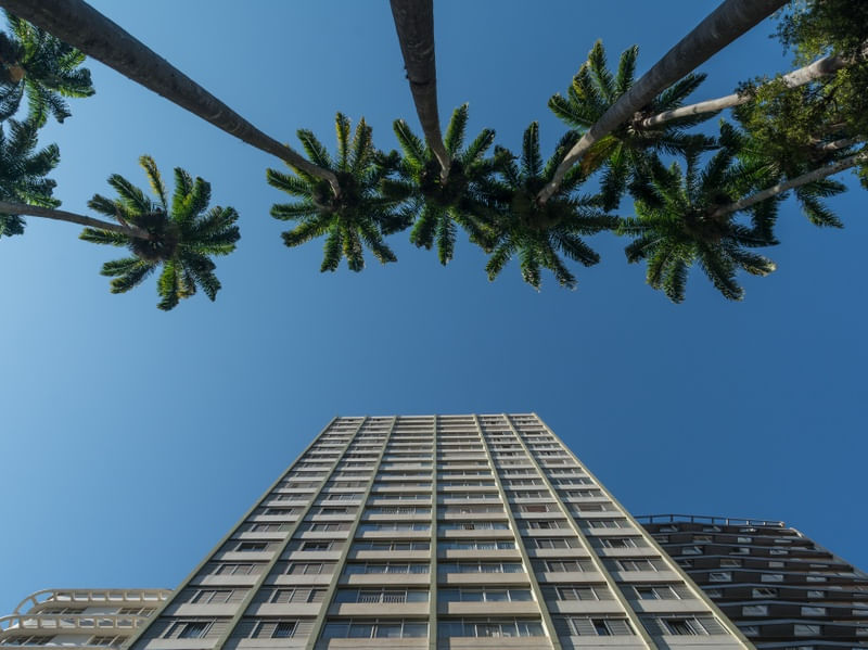 PALMS SKY