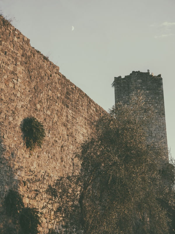 CASTLE WALL