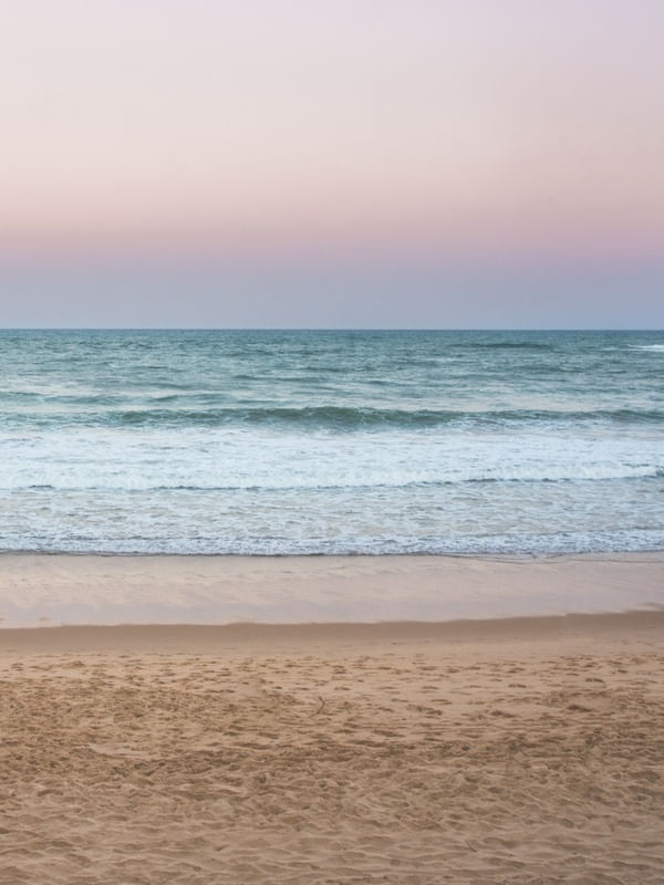 PRAIA - DIPTICO II