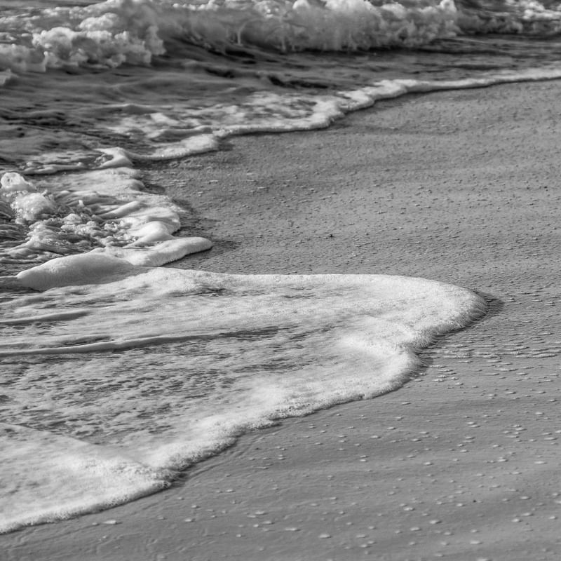 FOAM