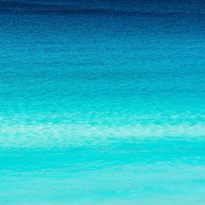 JUST BLUE