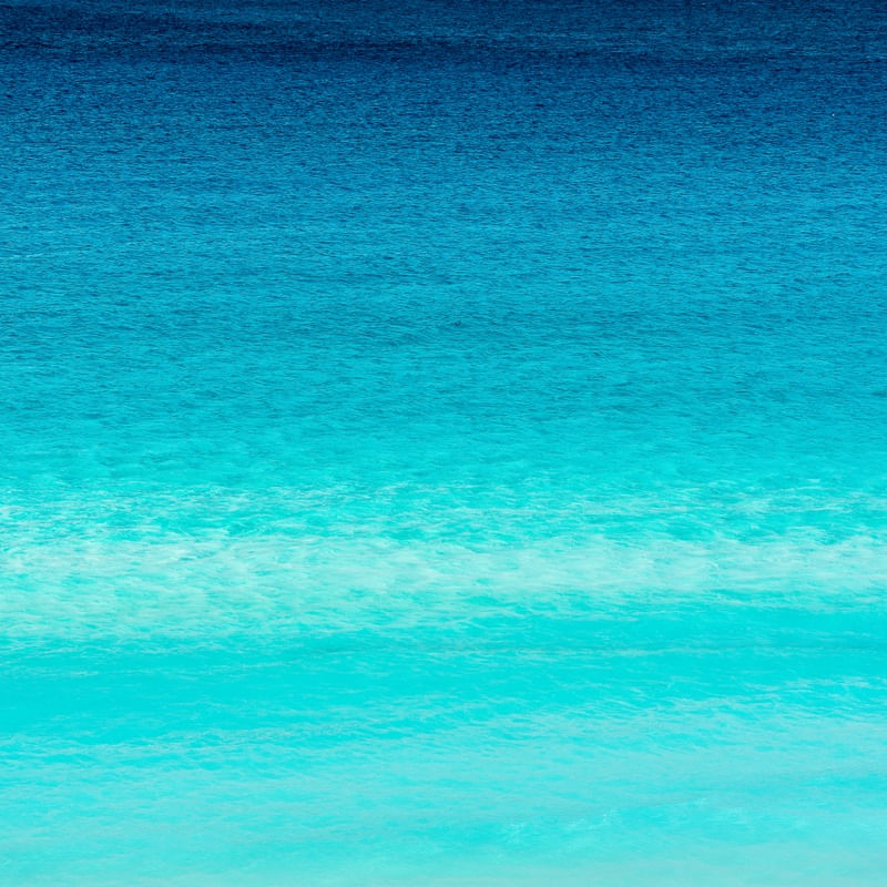 JUST BLUE