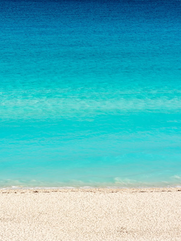 CARIBBEAN COLORS
