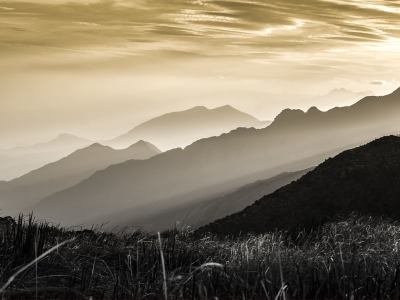 MOUNTAINS SHADOWS