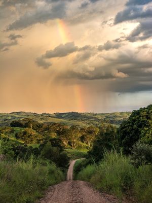 SOL E CHUVA II