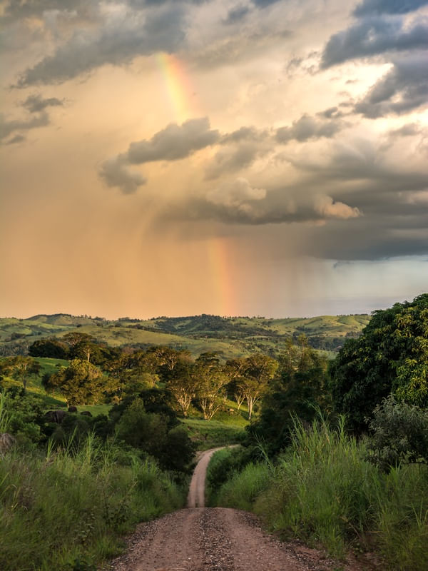 SOL E CHUVA II