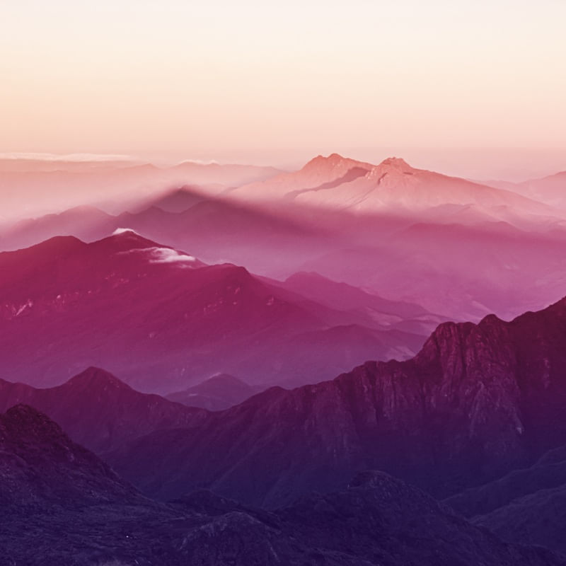 PINK MOUNTAINS