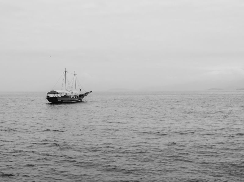 ESCUNA II