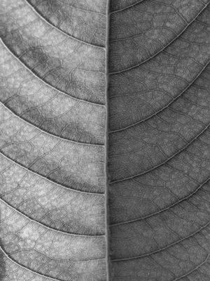 DETALHES FOLHA