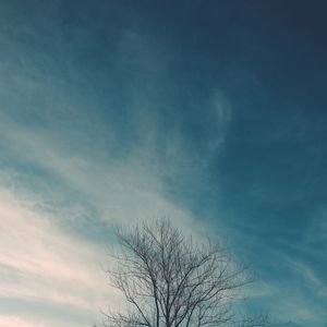 GALHOS MINIMALISTA
