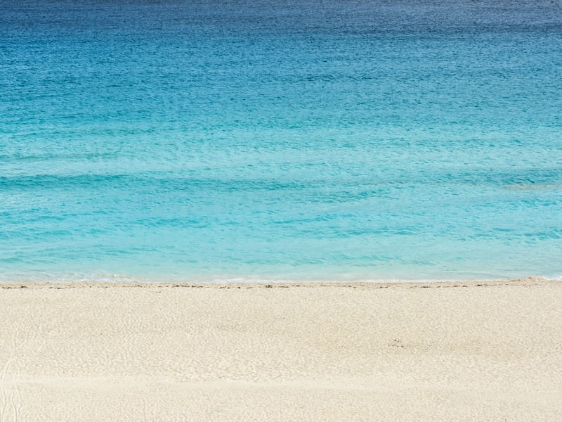 CARIBBEAN COLORS II