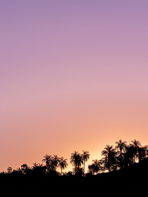 PINK AND ORANGE SKY