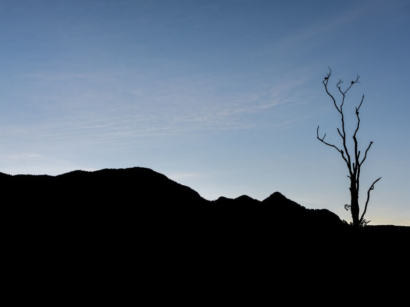 MOUNTAIN SILHOUETTE